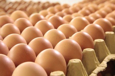 贵州鸡蛋检测价格,鸡蛋检测机构,鸡蛋检测项目,鸡蛋常规检测